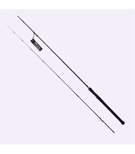 Amazon.co.jp: Ames Black Arrow Unlimited BAU 126MH (Seabass Rod
